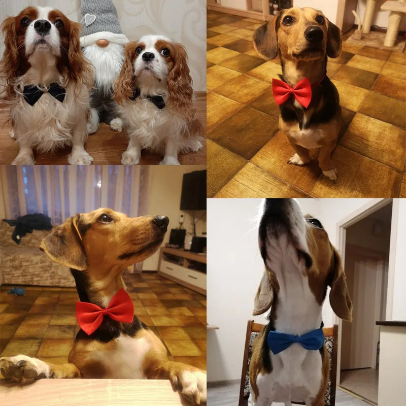 Pet Bow Tie | Adjustable Neck Strap for Cats & Dogs | 2-Pack
