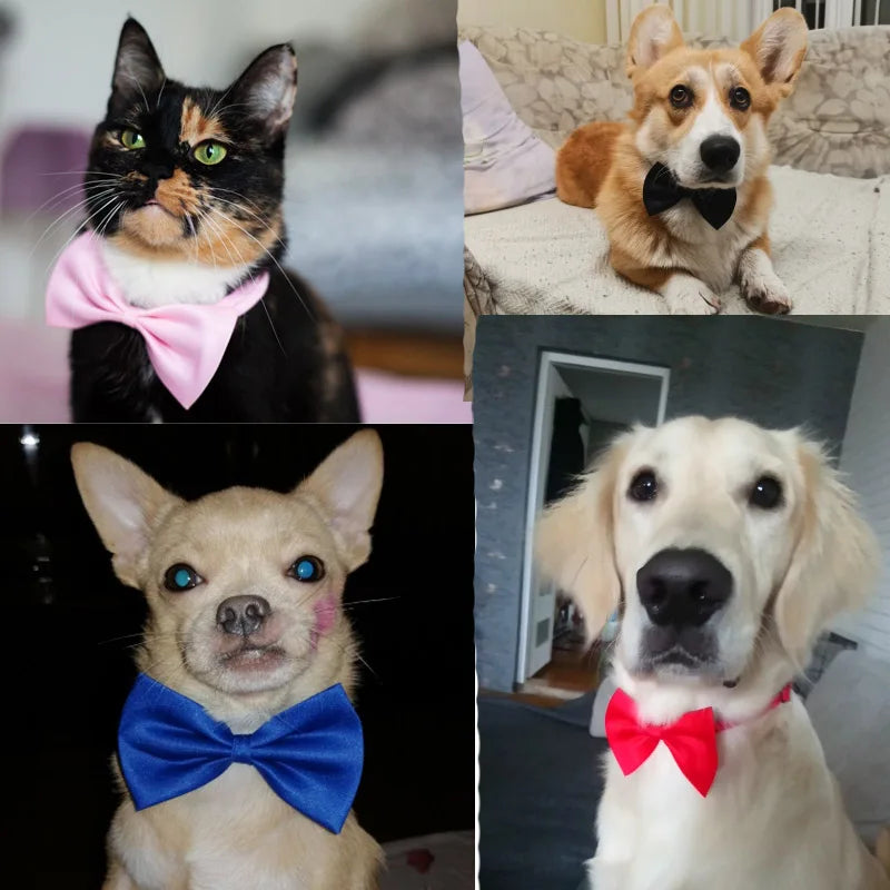 Pet Bow Tie | Adjustable Neck Strap for Cats & Dogs | 2-Pack