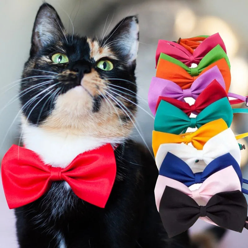 Pet Bow Tie | Adjustable Neck Strap for Cats & Dogs | 2-Pack