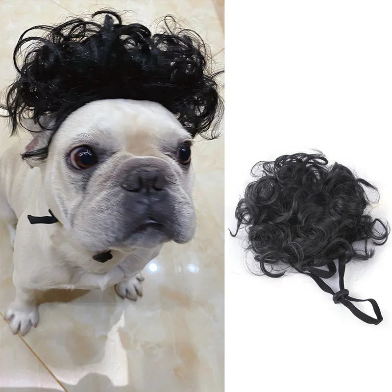 Pet Wig | Funny Cosplay Hair for Dogs & Cats