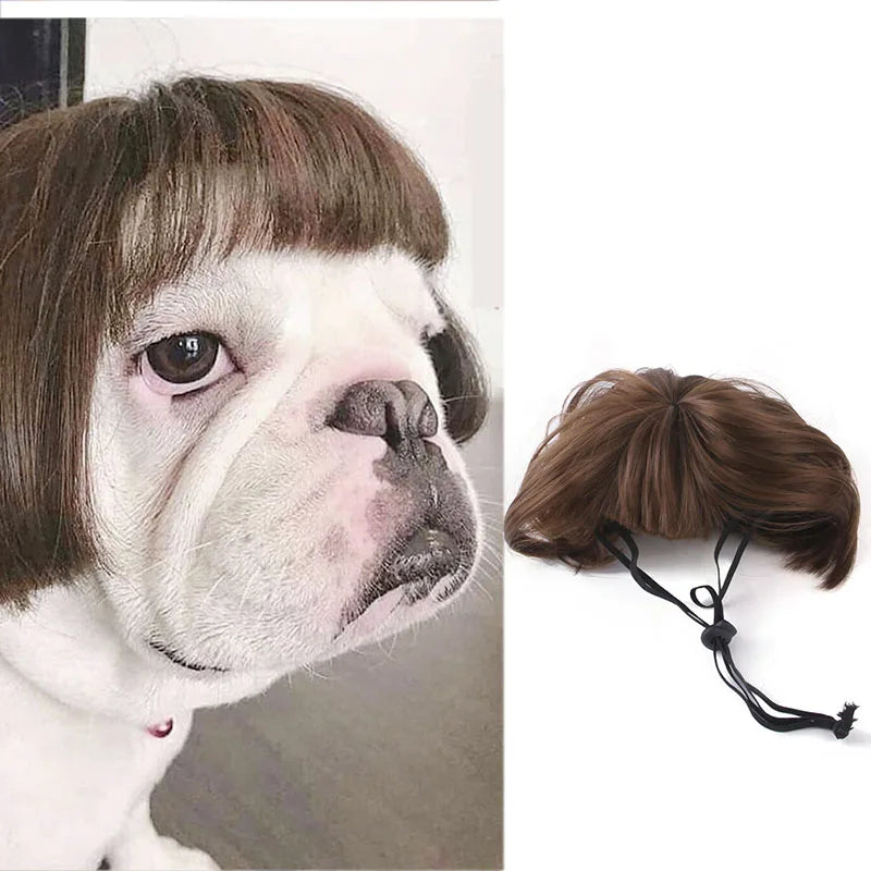 Pet Wig | Funny Cosplay Hair for Dogs & Cats