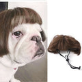 Pet Wig | Funny Cosplay Hair for Dogs & Cats