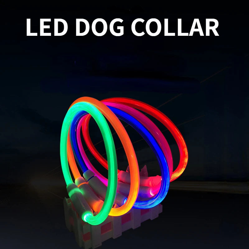 LED Dog Collar | USB Rechargeable Glow Collar for Dogs & Cats