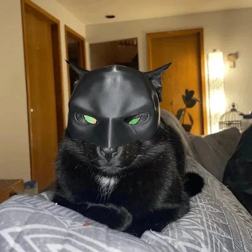 Cat Avenger Mask | 3D Printed Bat Cosplay Hat for Cats