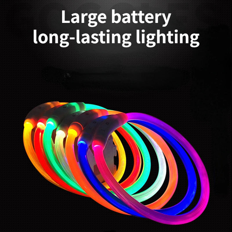 LED Dog Collar | USB Rechargeable Glow Collar for Dogs & Cats