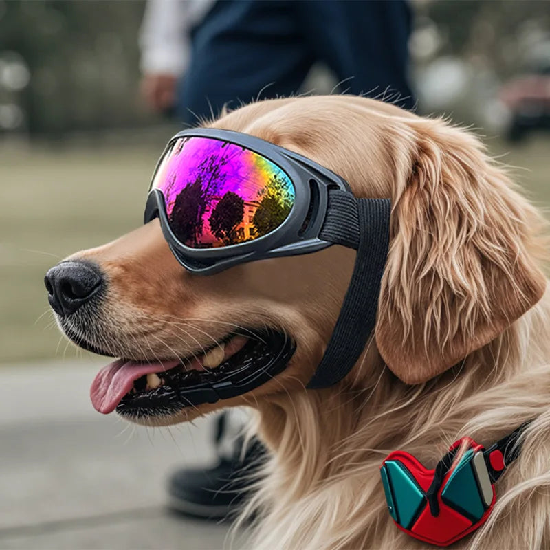 Dog Goggles | UV-Protection Sunglasses for Dogs