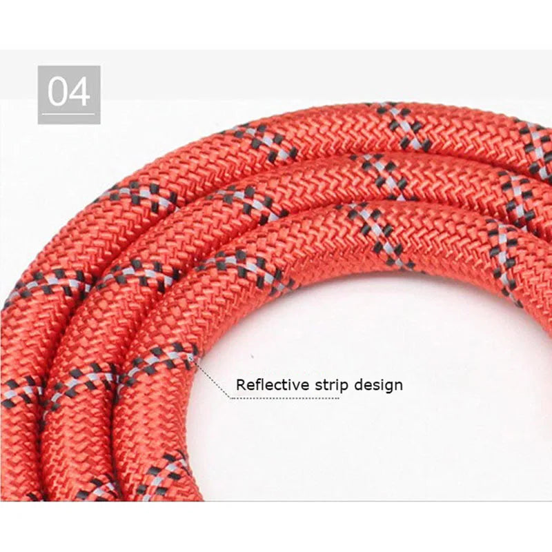 Reflective Pet Leash