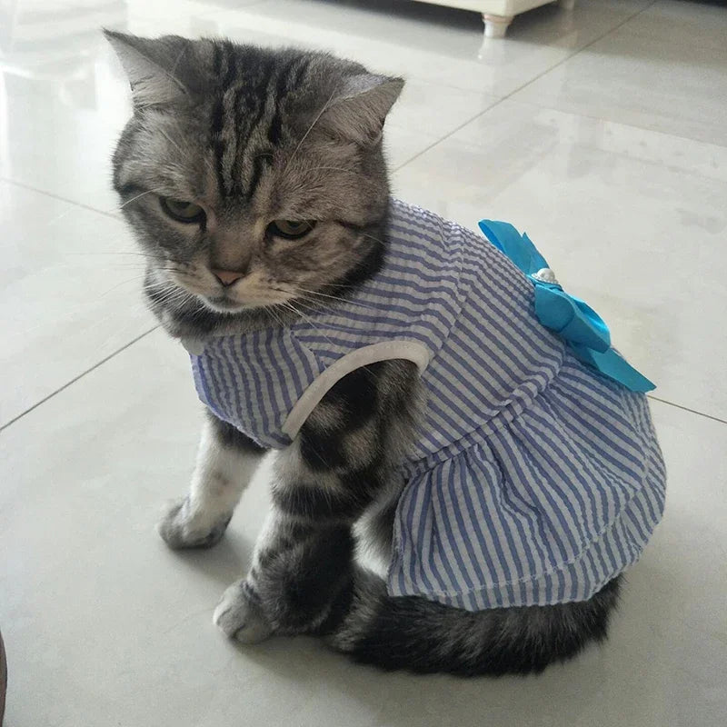 Summer Princess Dress for Cats & Small Dogs | Floral Bow Dress