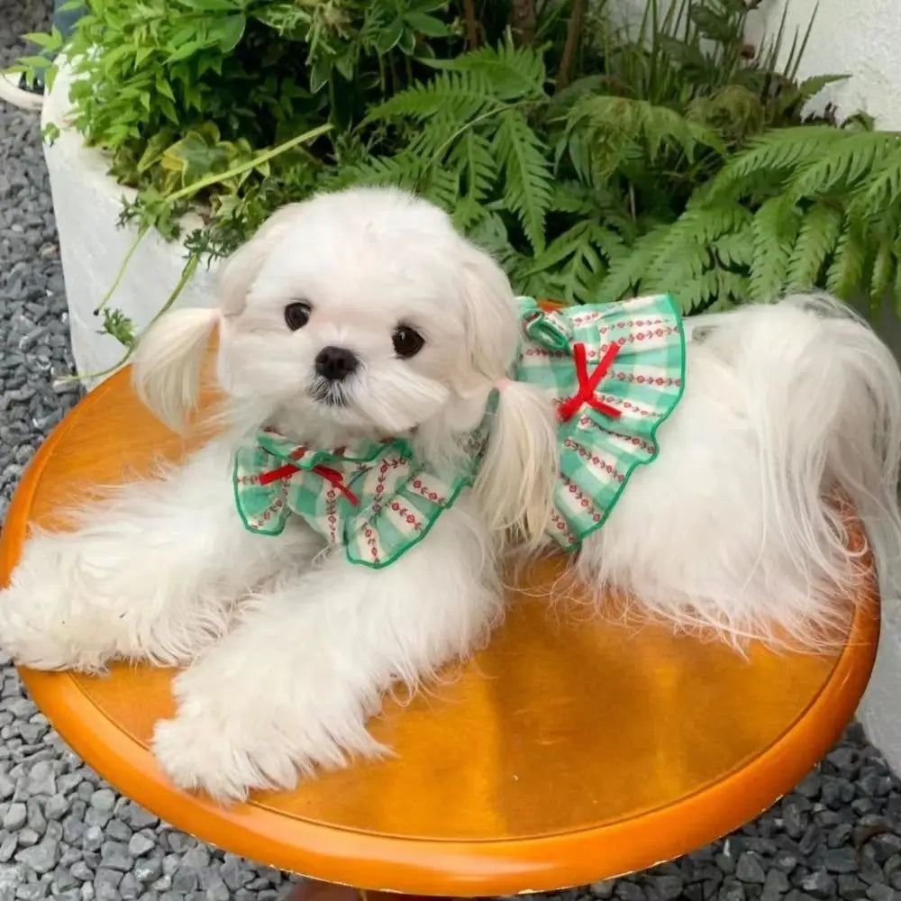 Pet Dog Clothes Polyester Fiber Pet Love Shirt Skirt Green Cute Dog Plaid Shirt Skirt INS Style Dog Costume Skirt for Small Dog