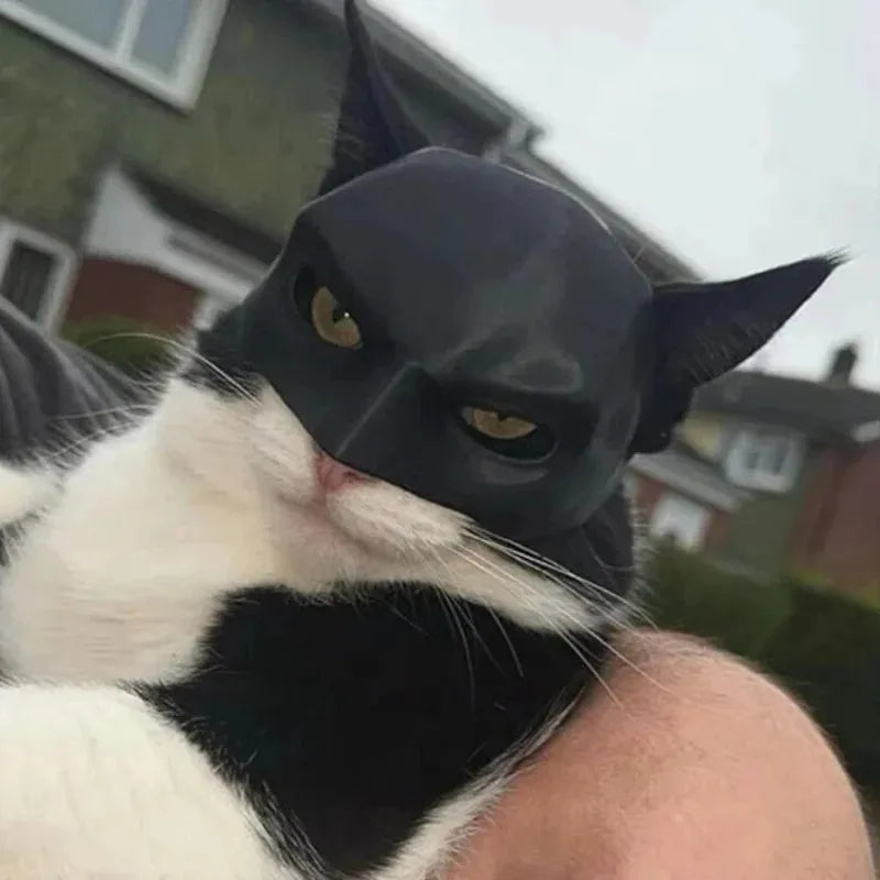 Cat Avenger Mask | 3D Printed Bat Cosplay Hat for Cats