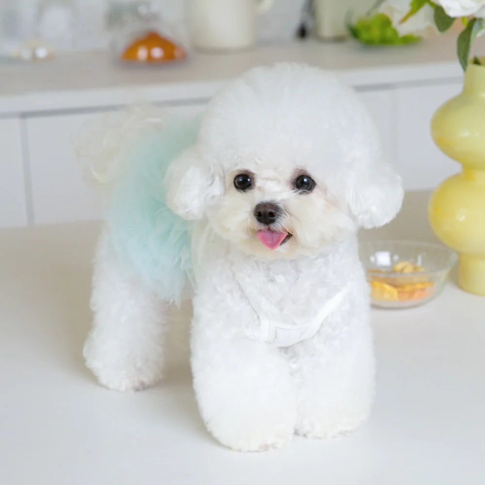 Dog Tutu Skirt | Layered Mesh Tulle Dress for Small Dogs
