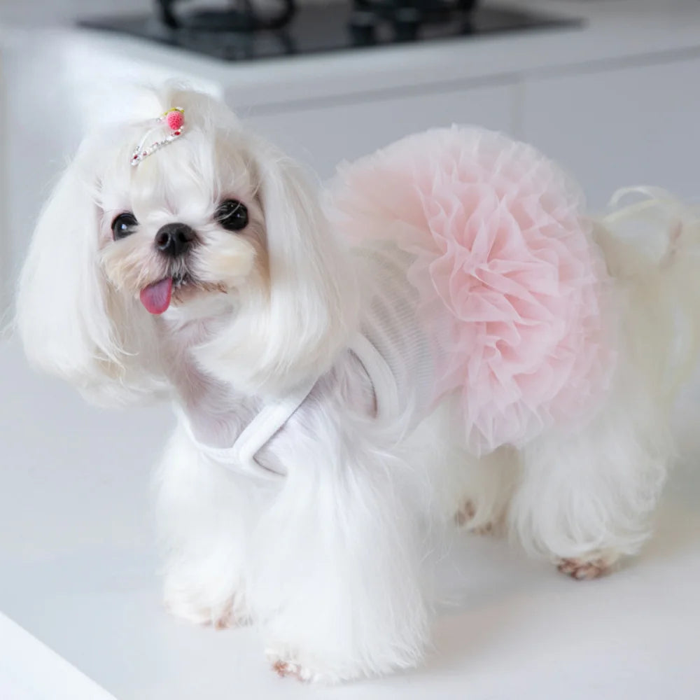 Dog Tutu Skirt | Layered Mesh Tulle Dress for Small Dogs