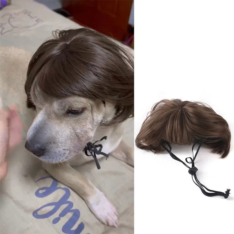 Pet Wig | Funny Cosplay Hair for Dogs & Cats