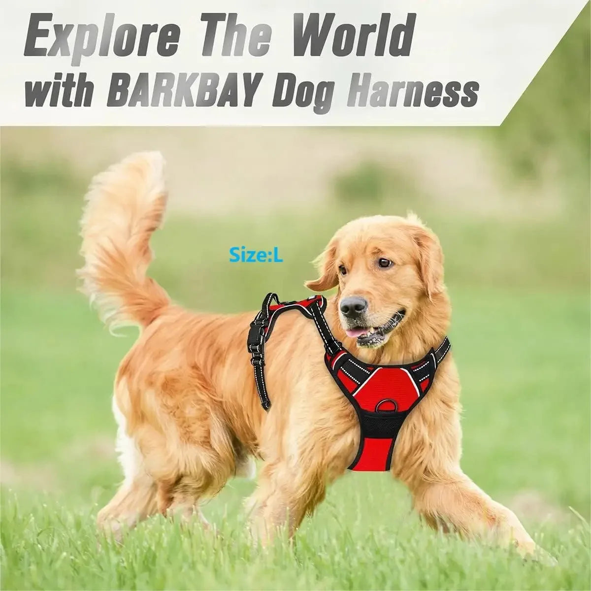 Dog Vest Harness | Soft & Comfortable for Small & Medium Dogs