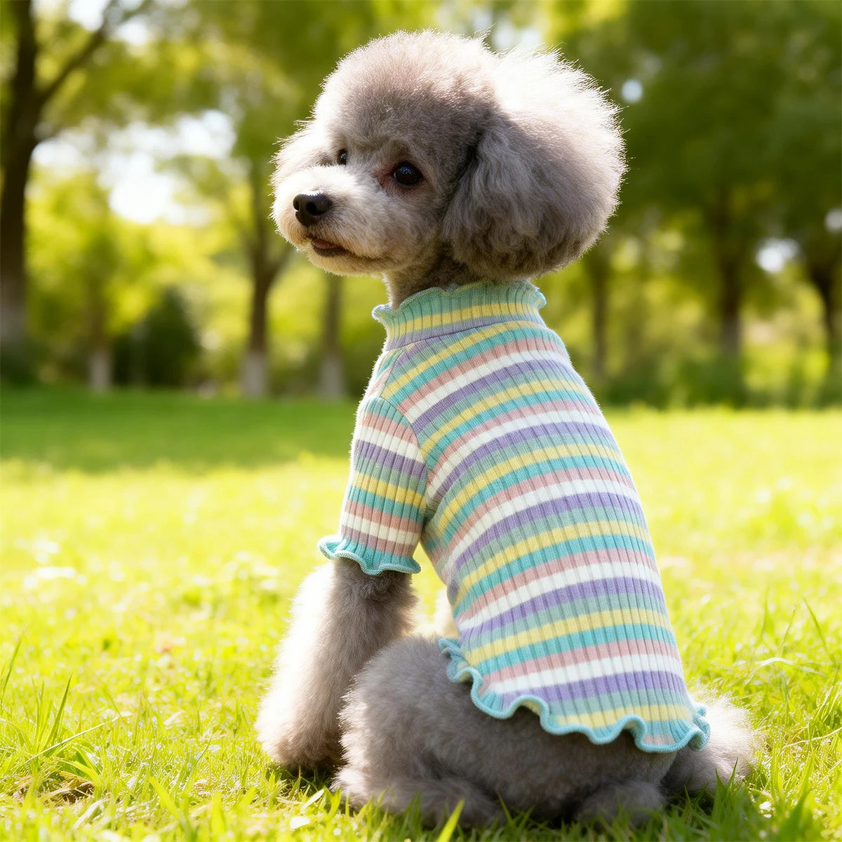 Pet Dog Clothes Puppy Vest T-shirt Shirt Cute Spring Pet Skirt Dress Roupas para cães Bottoming Shirt Dog Costume Puppy Clothes