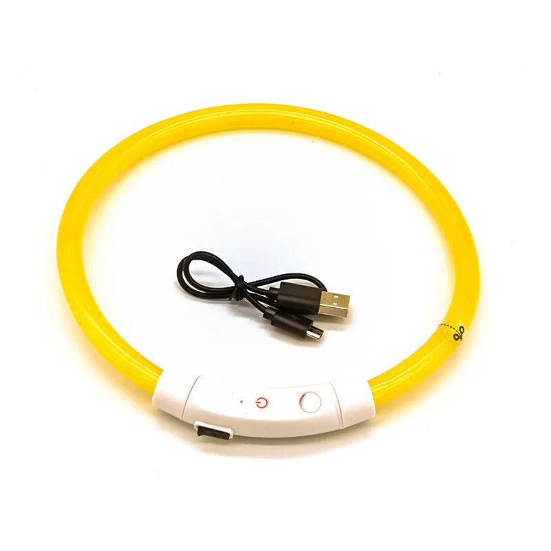 LED Dog Collar | USB Rechargeable Glow Collar for Dogs & Cats
