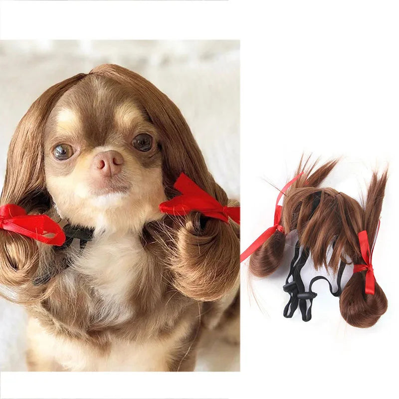 Pet Wig | Funny Cosplay Hair for Dogs & Cats