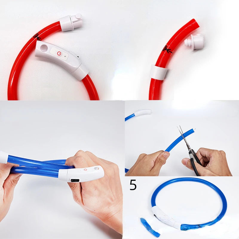 LED Dog Collar | USB Rechargeable Glow Collar for Dogs & Cats
