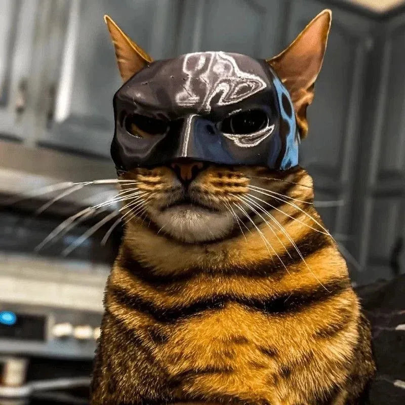 Cat Avenger Mask | 3D Printed Bat Cosplay Hat for Cats