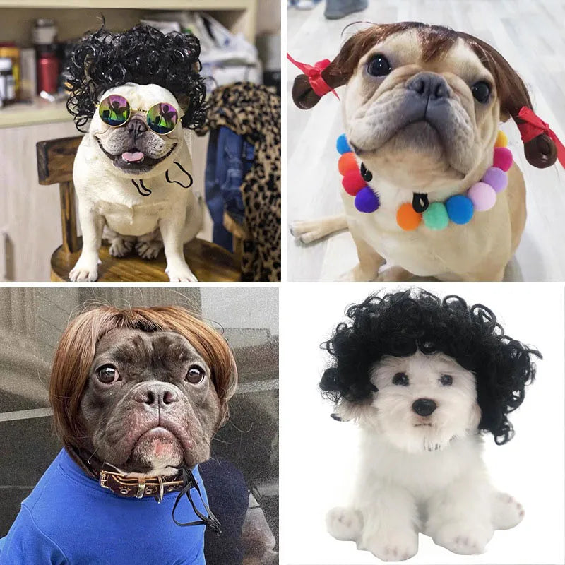 Pet Wig | Funny Cosplay Hair for Dogs & Cats