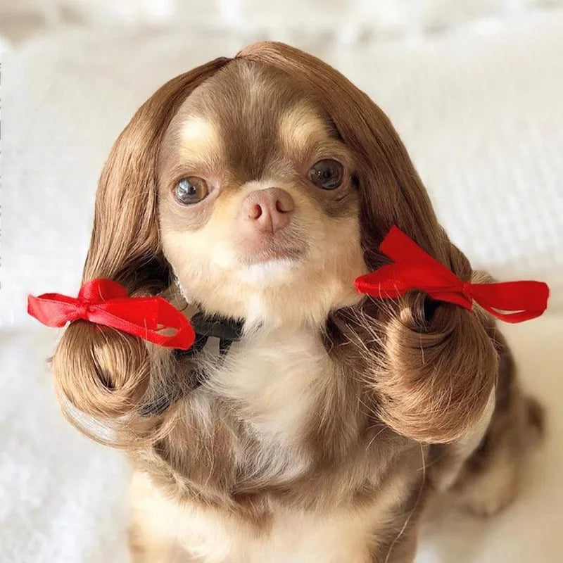 Pet Wig | Funny Cosplay Hair for Dogs & Cats