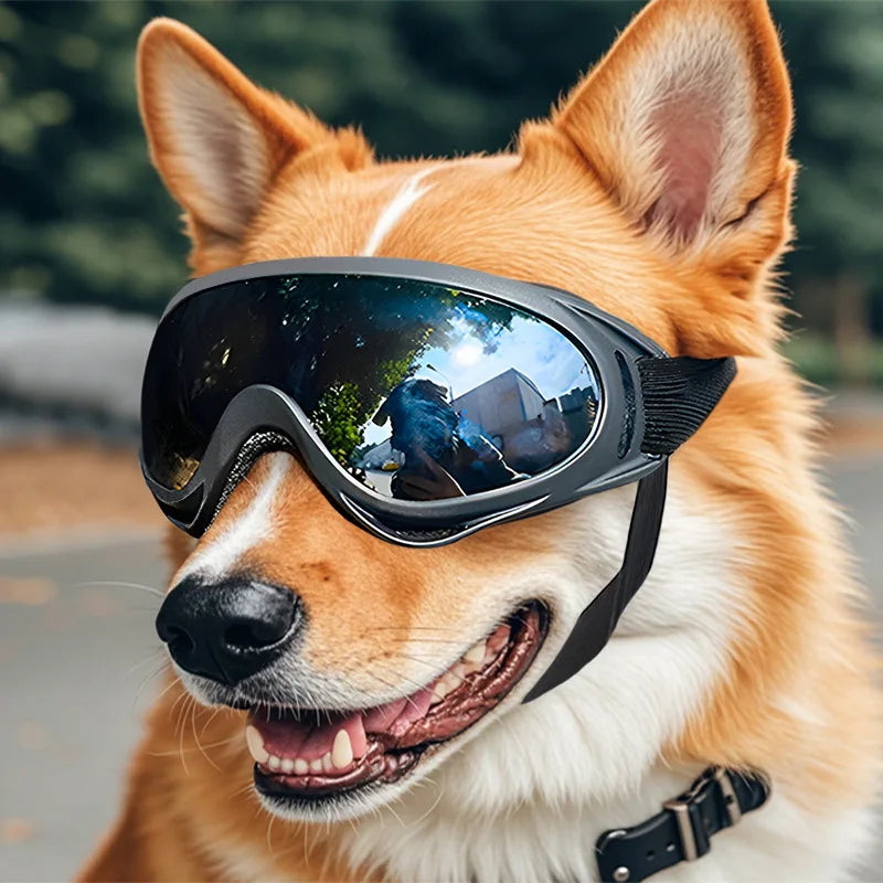 Dog Goggles | UV-Protection Sunglasses for Dogs