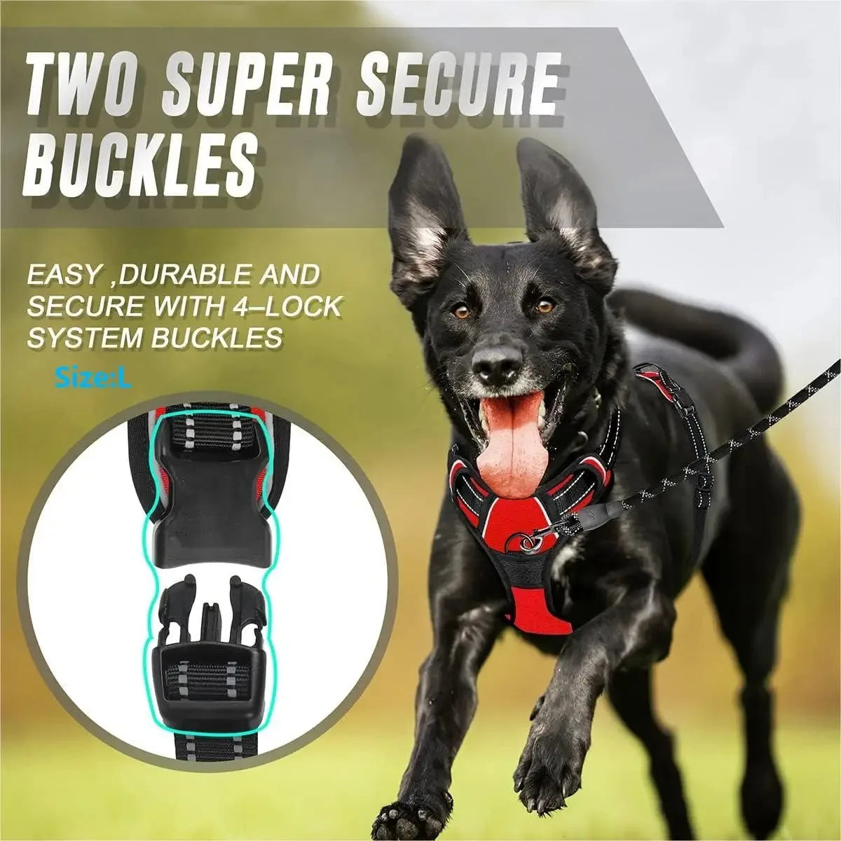 Dog Vest Harness | Soft & Comfortable for Small & Medium Dogs