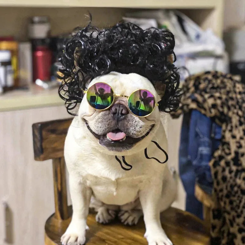 Pet Wig | Funny Cosplay Hair for Dogs & Cats
