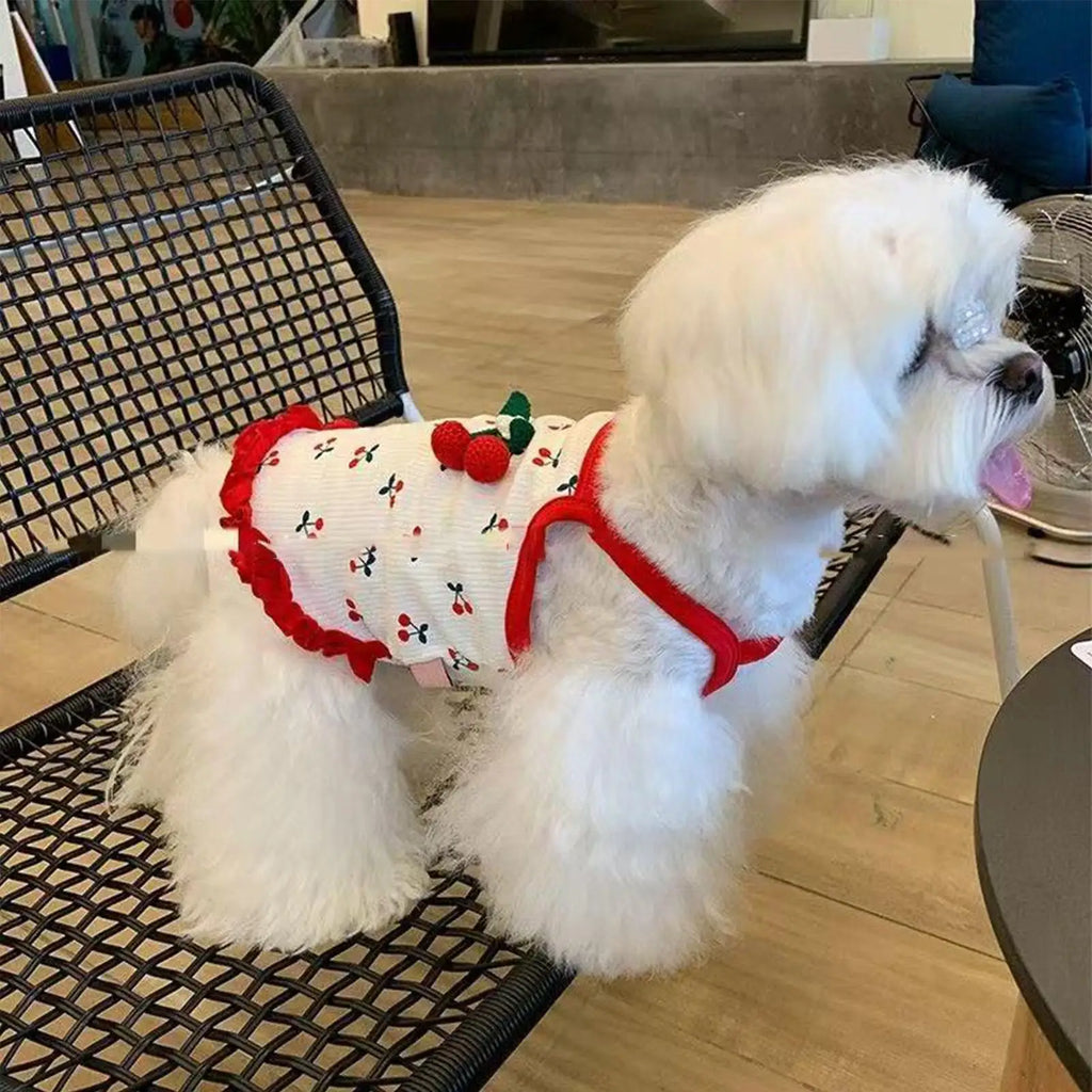 Cherry Print Breathable Pet Vest for Dogs & Cats