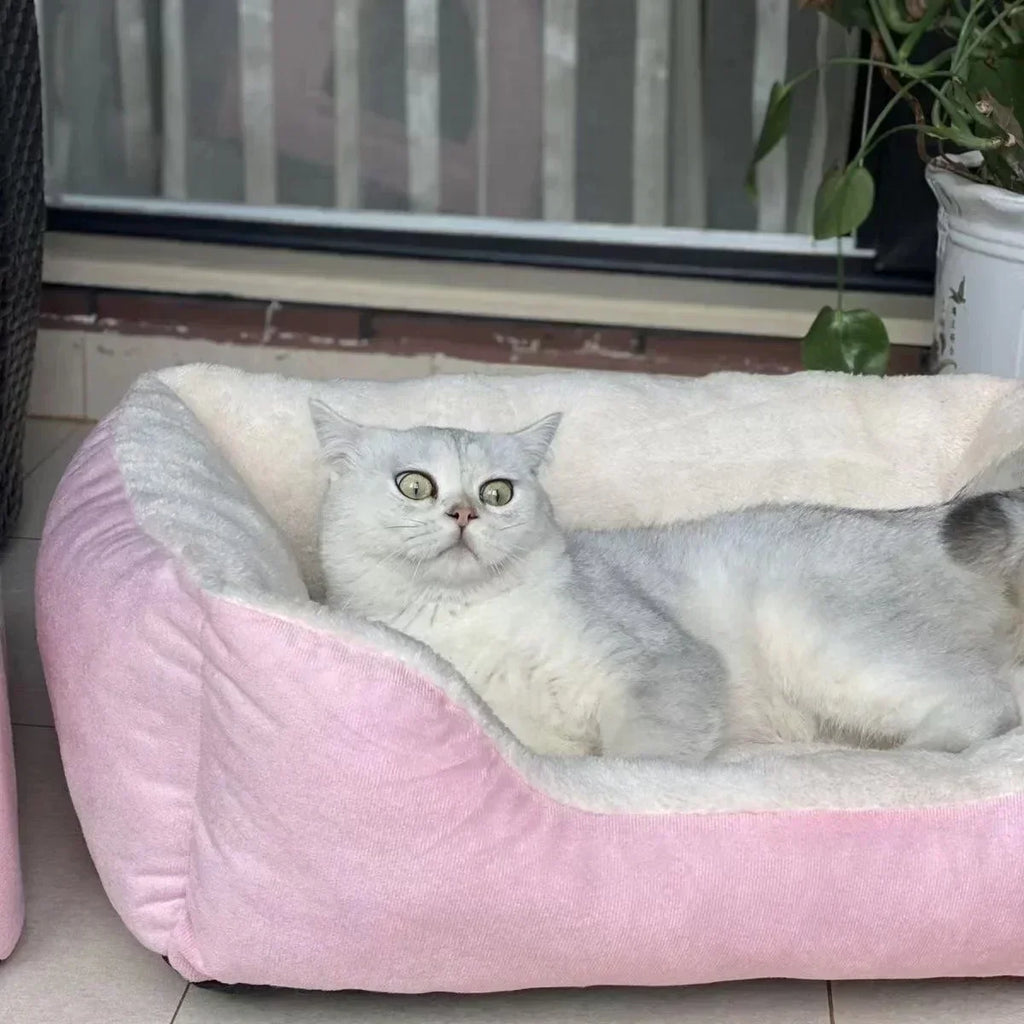 Soft Plush Pet Bed Mat & Kitten Cushion