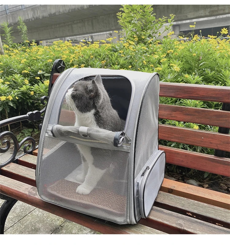 Pet Carrier Backpack for Small Cats and Dogs Puppies Safety Features and Cushion Back Suet Commuting Carriers Bag Safety Zippers