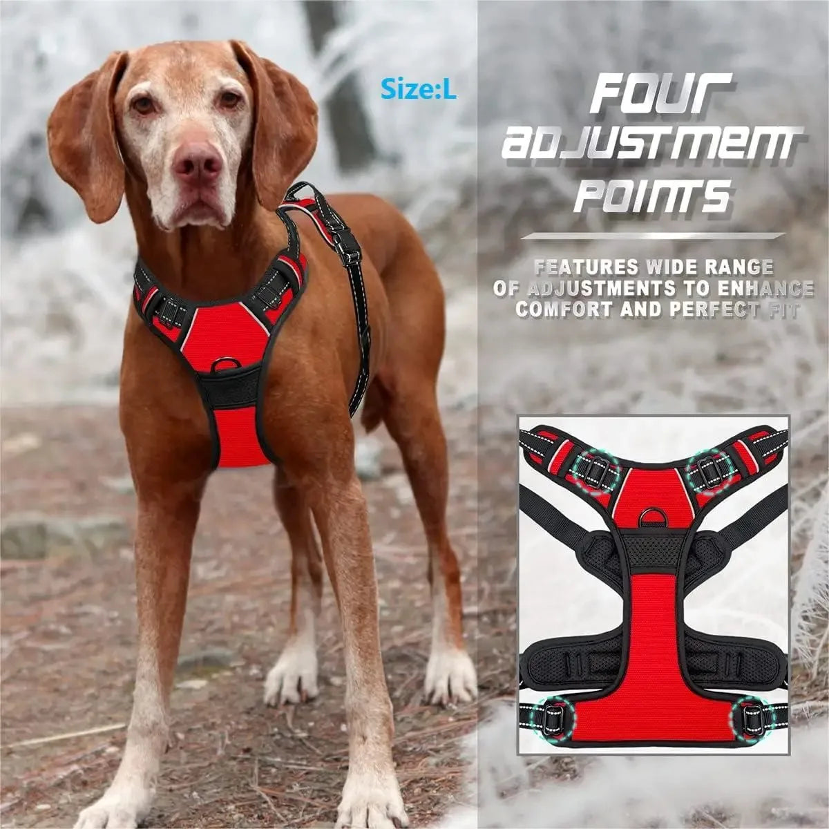 Dog Vest Harness | Soft & Comfortable for Small & Medium Dogs
