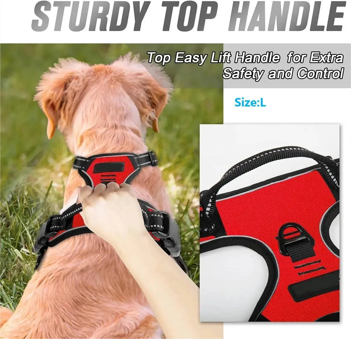 Dog Vest Harness | Soft & Comfortable for Small & Medium Dogs