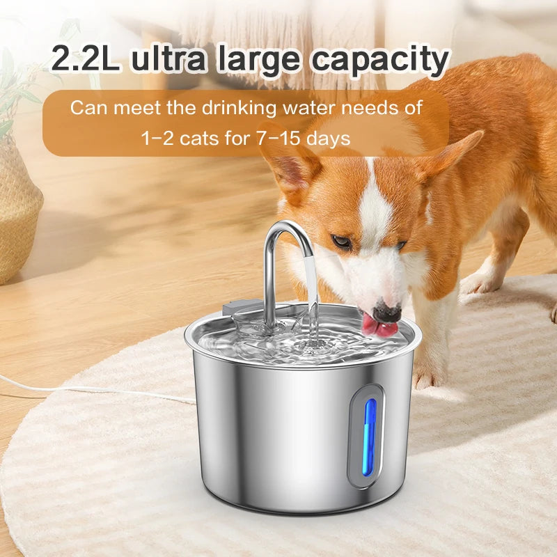 Automatic Pet Water Fountain | 2.2L Stainless Steel with Filter & USB Pump