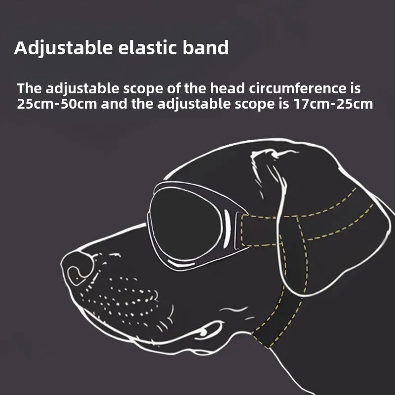 Dog Goggles | UV-Protection Sunglasses for Dogs